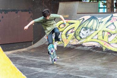 Skate43 - Garden - gördeszka